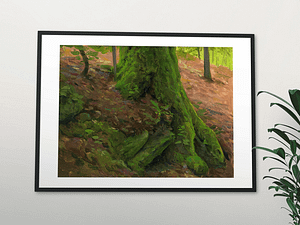 Landscape frame near the couch mossy roots in fall small copy