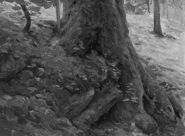 mossy roots in fall bw